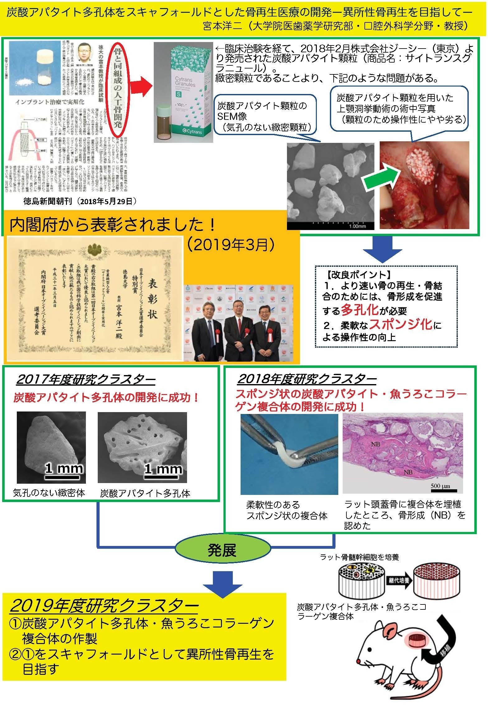 炭酸 アパタイト